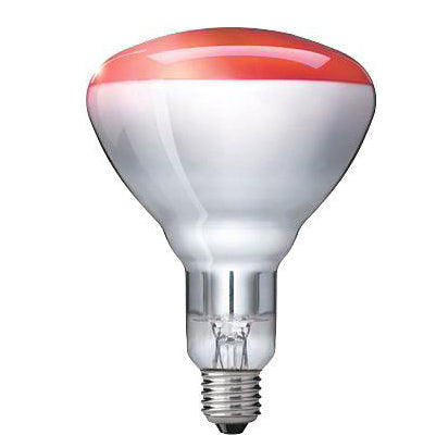 Bulbs - Incandescent Bulbs
