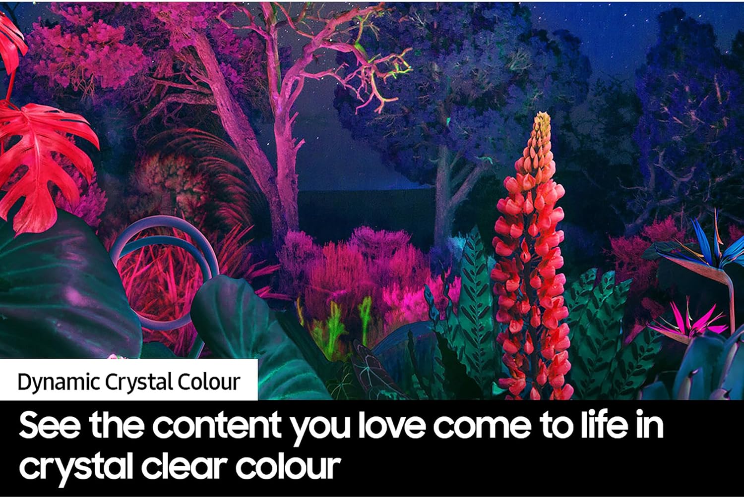 Samsung DU8070 65" Crystal UHD 4K HDR Smart TV (2024) | UE65DU8070UXXU