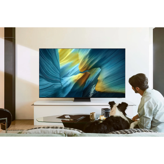 Samsung S95F 65" 4K Ultra HD HDR OLED Smart TV (2025) | QE65S95FATXXU