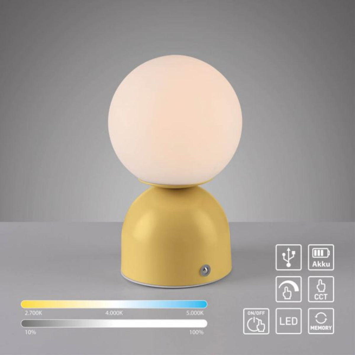 SCHÖNER WOHNEN Collection LED Rechargeable Table Lamp RUDI, Floral Magic , USB charging cable-19218-81
