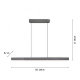 Paul Neuhaus LED pendant light PURE-MOTO-RISE grey electric touch-2545-15 thumbnail 7