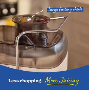 Russell Hobbs Juicer Stone | 28770