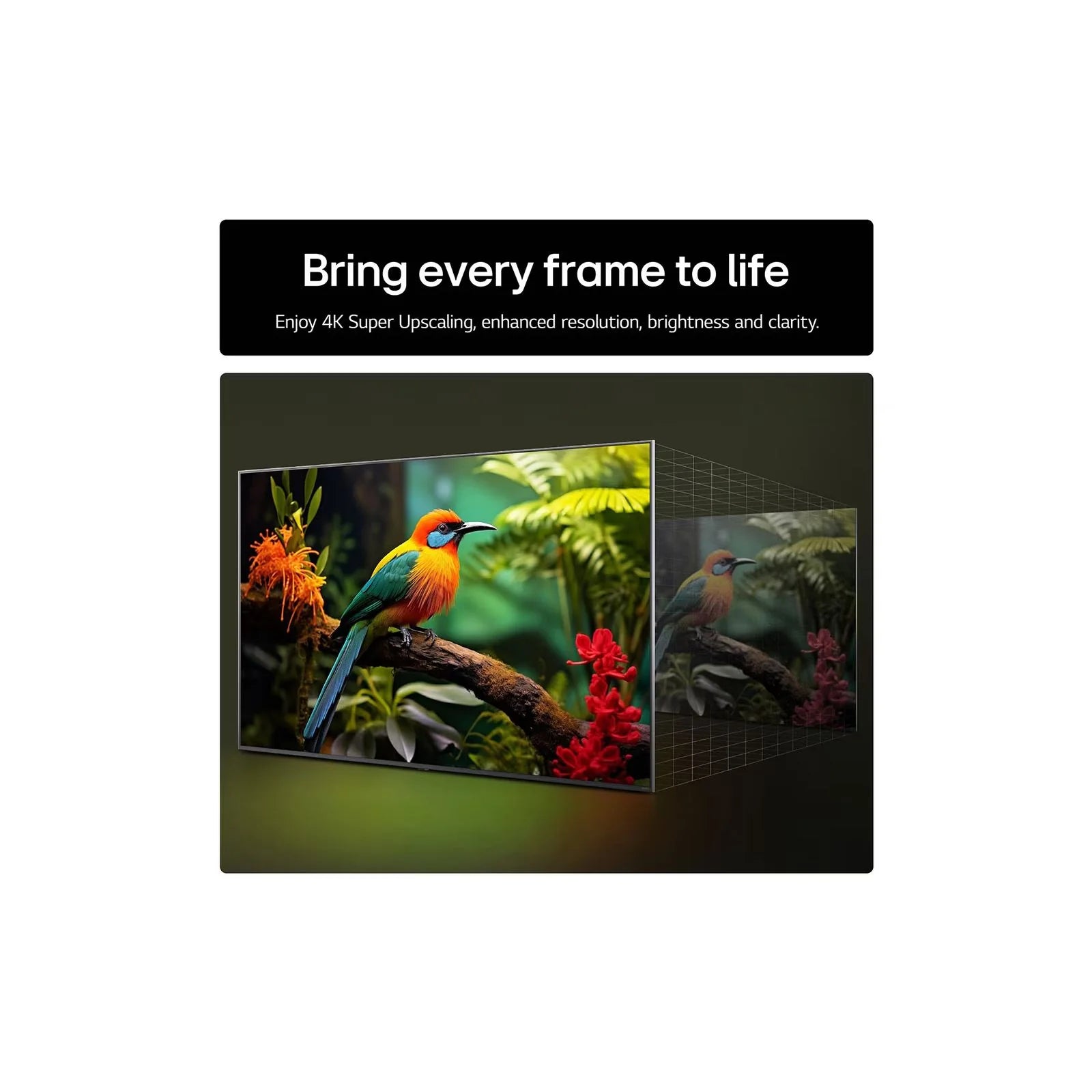 LG 55" UA73 4K Ultra HD HDR LED Smart TV | 55UA73006LA.AEK