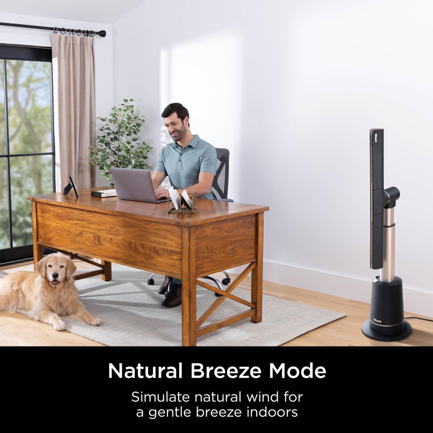 Shark TurboBlade Multi-Directional Cooling Fan | TF200SUK
