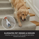 Shark StainStriker Pet Stain & Spot Cleaner | PX200UKT thumbnail 7