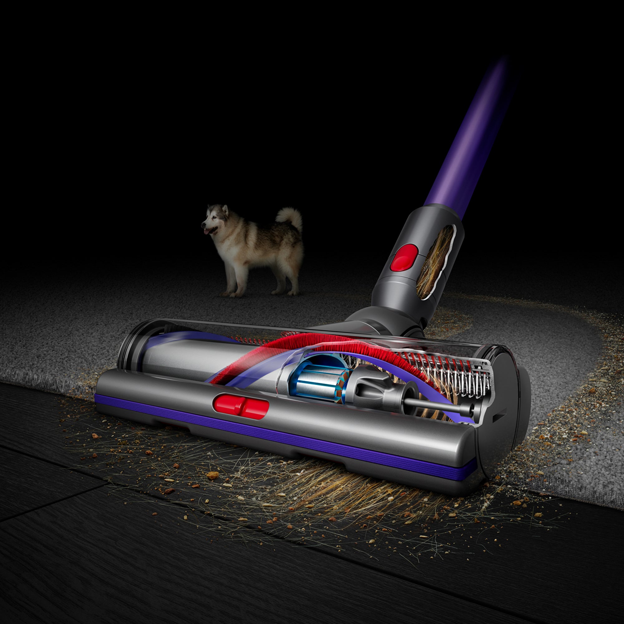 Dyson Gen-5 Detect Absolute Cordless Vacuum Cleaner | 447038-01