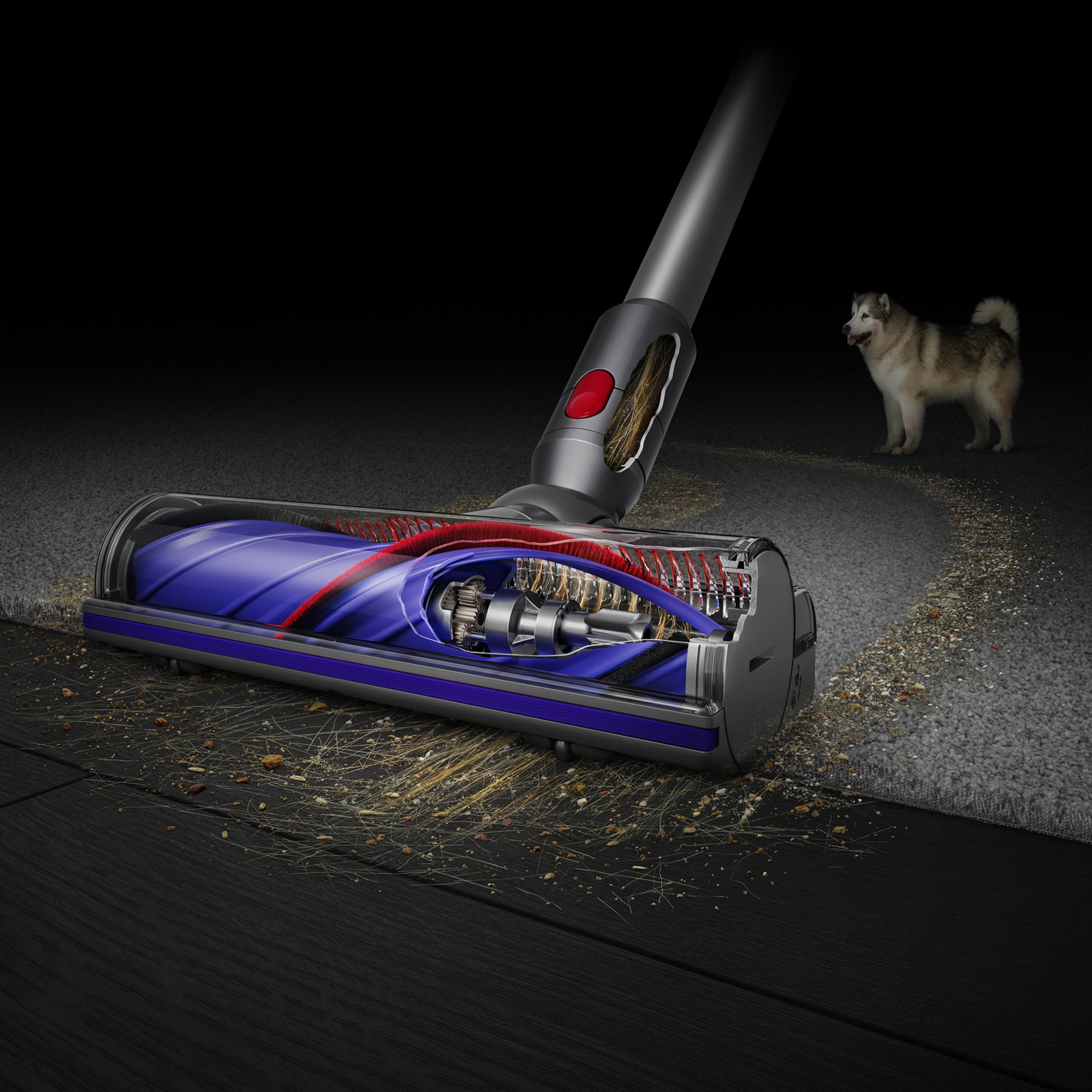 Dyson Cyclone V10 Absolute Cordless Vacuum | 394433-01