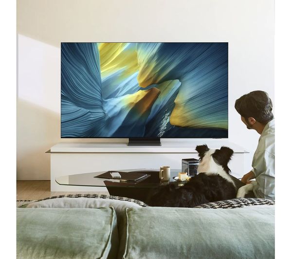 Samsung S95F 55" 4K Ultra HD HDR OLED Smart TV (2025) | QE55S95FATXXU