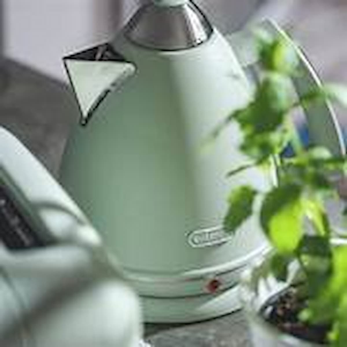 Delonghi Argento Flora Green Kettle-KBX3016.GR