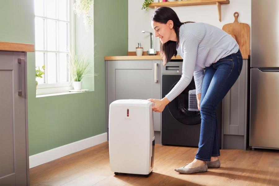 Dimplex 20L Electric Dehumidifier | EVERDRI20L