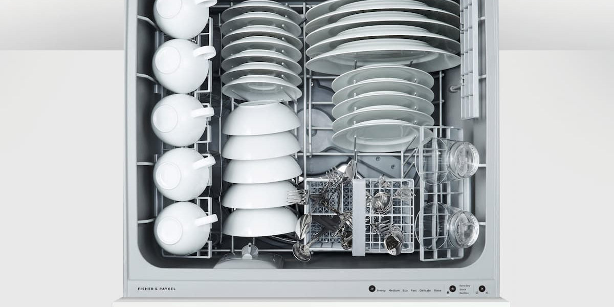 Dd60dh19 fisher on sale and paykel