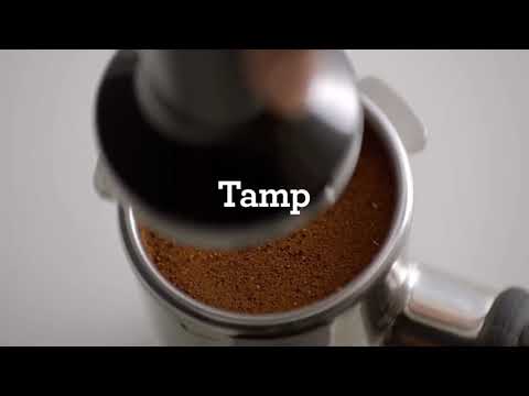 Sage Black and Silver Bambino Plus Coffee Machine | SES500BTR4GUK1