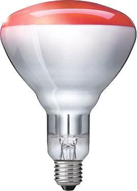 Philips InfraRed BULB 250W E27 - Peter Murphy Lighting & Electrical Ltd